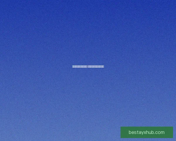 世界杯竞猜游戏全攻略 参与方式规则与技巧解析