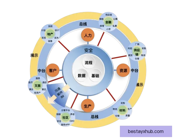 世界杯竞猜胜负玩法全解析从基础规则到投注技巧实战思路深度指南