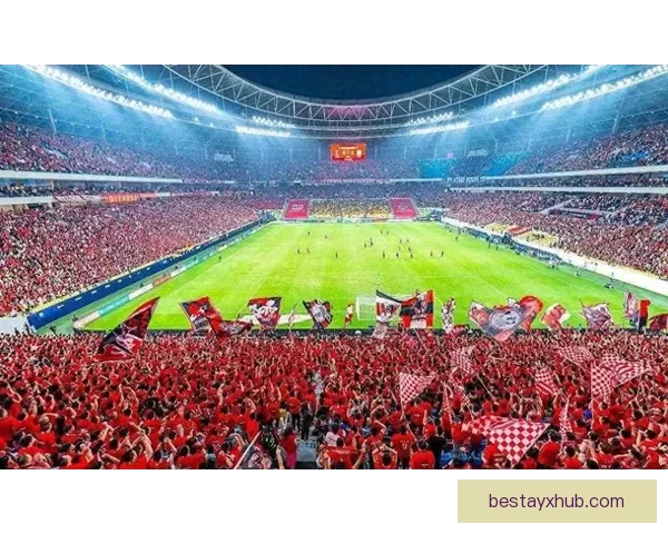 围绕二零二六世界杯举办城市解锁足球激情与城市魅力的全球探索之旅